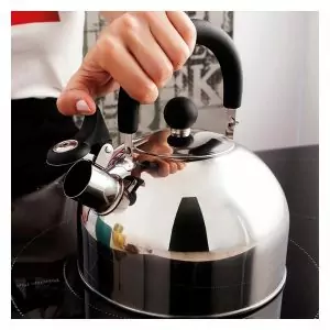 100030 - Wasserkocher klassisch für die Herdplatte für 2 Liter aus Edelstahl - beim Kochen