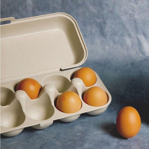 102001B - Eierbox für Transport aus Bio-Kunststoff für 10 Eier - mit Eiern