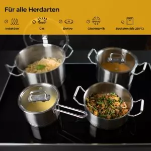 100534-Induktionskochtopf Set 7-teilig aus Edelstahl mit Glasdeckel und Mikrofasertuch sowie Topfuntersetzer - für alle Herdarten