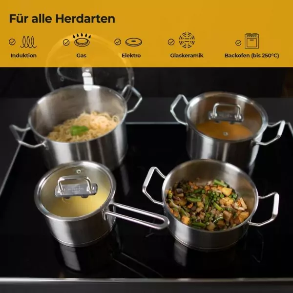 100534-Induktionskochtopf Set 7-teilig aus Edelstahl mit Glasdeckel und Mikrofasertuch sowie Topfuntersetzer - für alle Herdarten