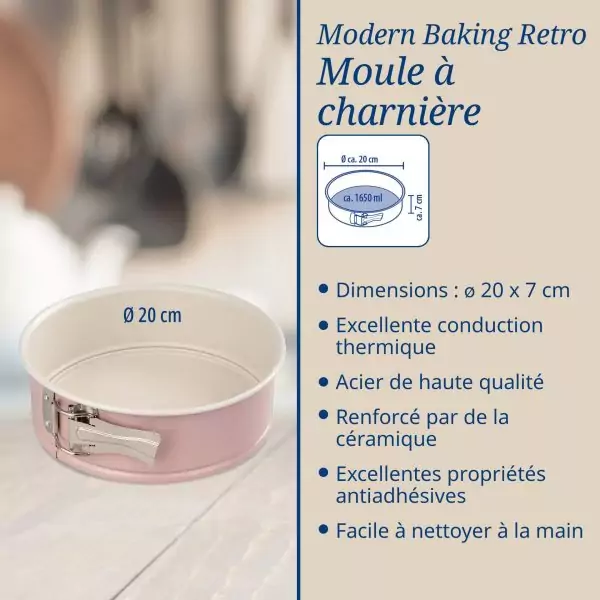 103011B-Retro Springform mit Scharnier 20 cm - Maße und Beschreibung