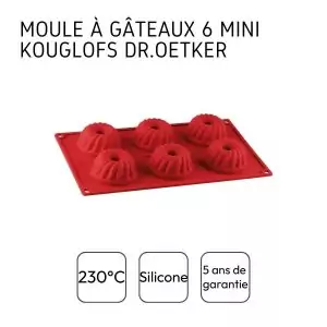 103029-Mini-Guglhupf Silikon als 6er-Form mit Antihaft-Eigenschaften - Angaben