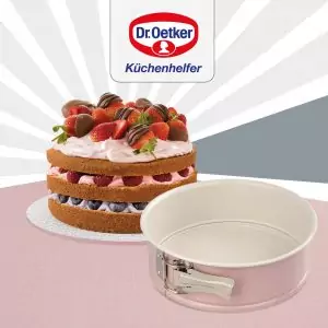 103011B-Retro Springform mit Scharnier 20 cm - Form mit Kuchen