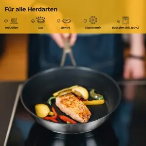 100542A-Beschichtete Induktionspfanne aus Edelstahl 24 cm für fettarmes Kochen - alle Herdarten