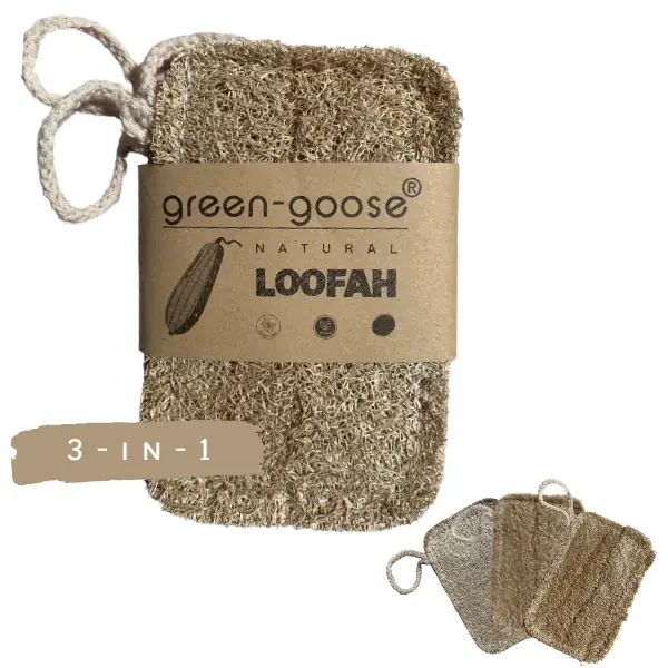 103306-Set Luffa-Küchenschwämme aus 2x asiatischer & 1x ägyptischer Luffa - mit Verpackung