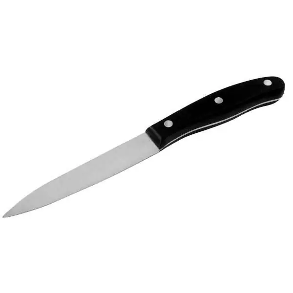 103104-Universalmesser 22 cm mit spitzer Klinge und aus Edelstahl & genietetem Kunststoffgriff POM
