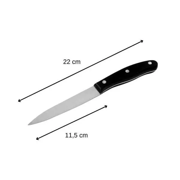 103104-Universalmesser 22 cm mit spitzer Klinge und aus Edelstahl & genietetem Kunststoffgriff POM - Maße