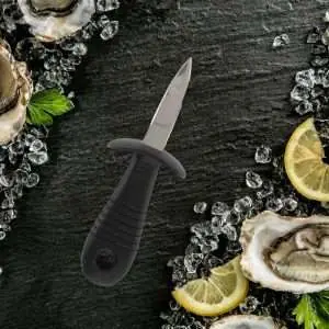 103228-Austernmesser für Liebhaber von frischen Austern mit einer kurzen und kräftigen Klinge zum Abheben des Deckels - auf dem Tisch